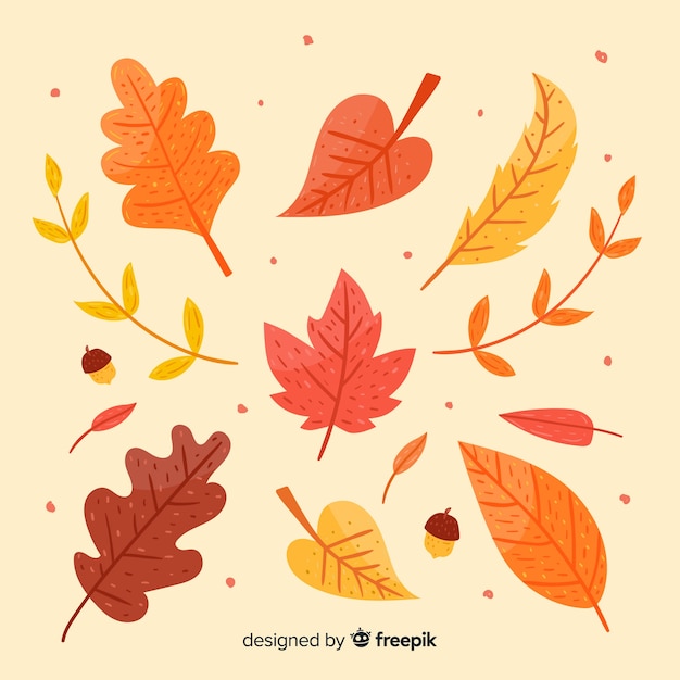 Vector hand drawn autumn leaves collection