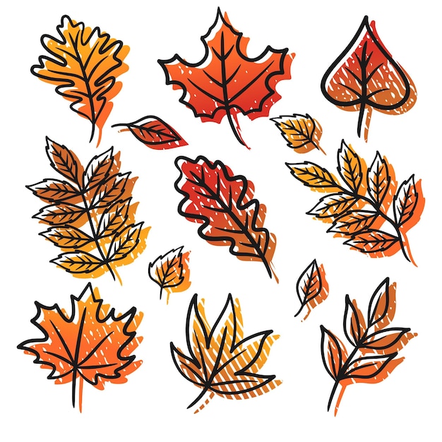 Hand drawn autumn leaves pattern