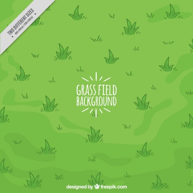 Vector hand-drawn background of grass field