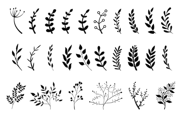 Hand drawn branches with leaves and flowers vector icon