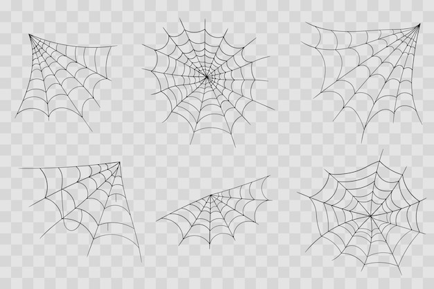 Vector hand drawn cobweb line art sketch style spider web elements spooky scary image halloween