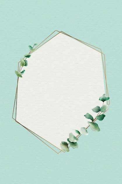 Hand drawn eucalyptus leaf with hexagon gold frame vector