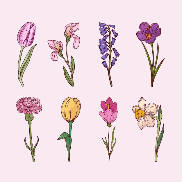 Hand drawn flowers pack