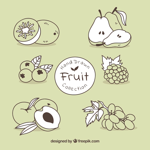 Hand drawn fruit set