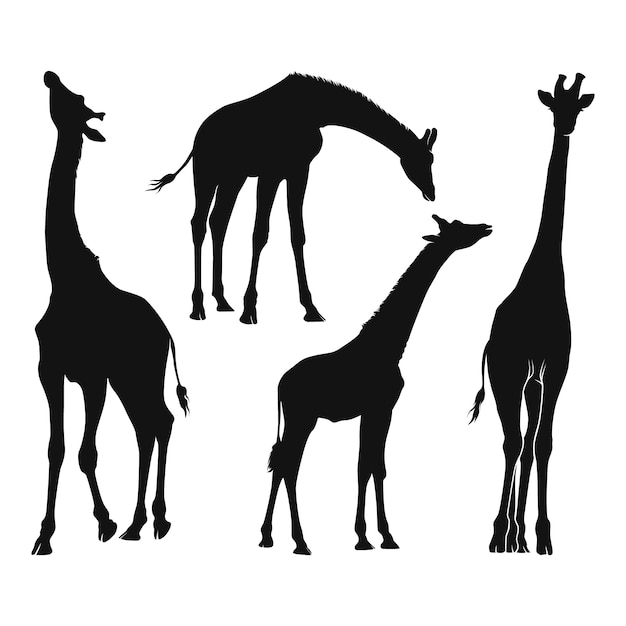 Hand drawn giraffe silhouette