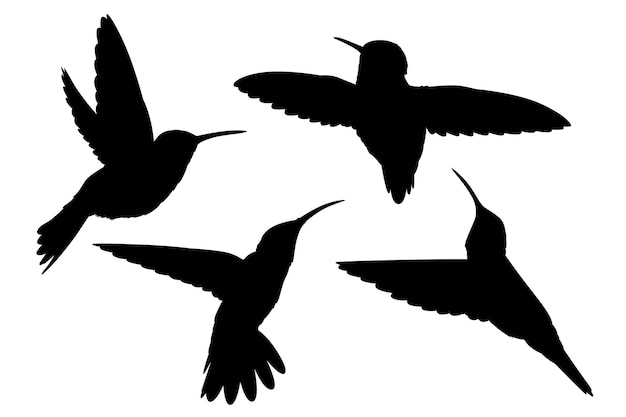 Hand drawn hummingbird silhouette