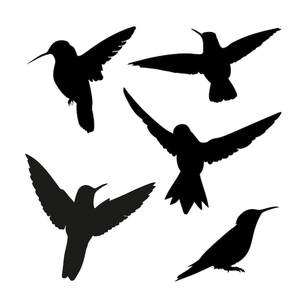 Vector hand drawn hummingbird silhouette