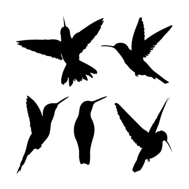 Vector hand drawn hummingbird silhouette