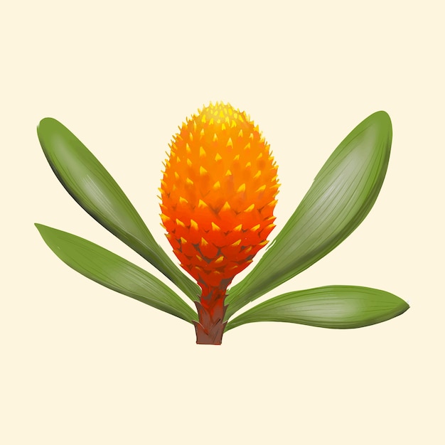 Hand drawn pineapple isolated on yellow background