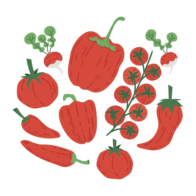 Hand drawn red vegetables tomato pepper and radish cartoon vector illustration set