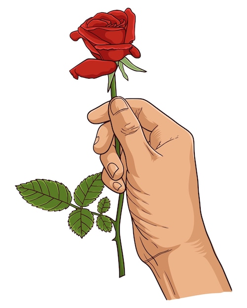 Hand drawn Sketch of hand holding rose flower Vector Illustration