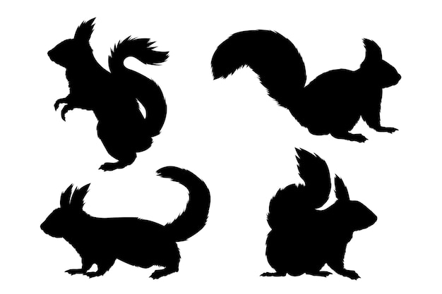 Hand drawn squirrel silhouette