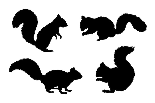 Hand drawn squirrel silhouette