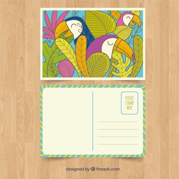 Hand drawn summer card template with tropical birds