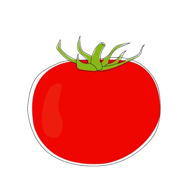 Hand drawn tomato