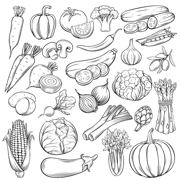  hand drawn vegetables icons set