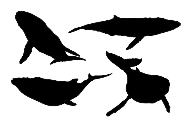 Vector hand drawn whale silhouette