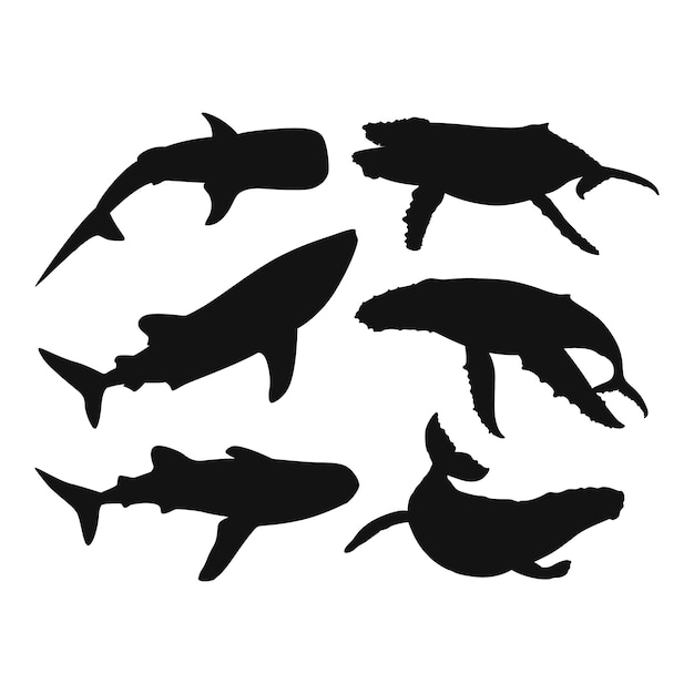 Hand drawn whale  silhouette