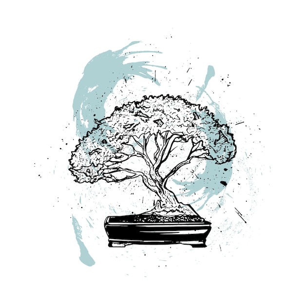 Vector handdrawn bonsai illustration with ink splash background