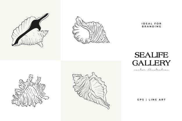 Handdrawn vector set featuring realistic sketches of various marine seashells starfish in black