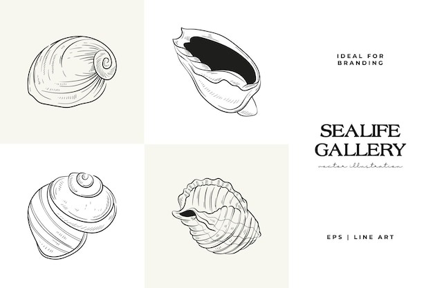 Handdrawn vector set featuring realistic sketches of various marine seashells starfish in black