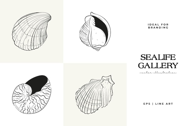 Handdrawn vector set featuring realistic sketches of various marine seashells starfish in black