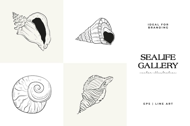 Handdrawn vector set featuring realistic sketches of various marine seashells starfish in black