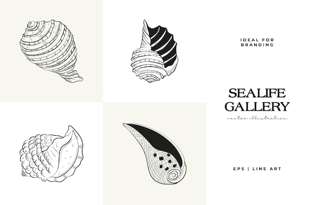 Handdrawn vector set featuring realistic sketches of various marine seashells starfish in black