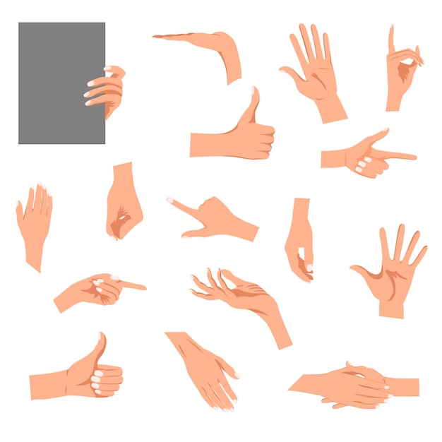 Vector hands gestures illustration isolated