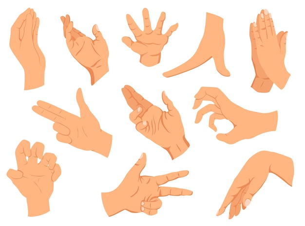 Vector hands gestures