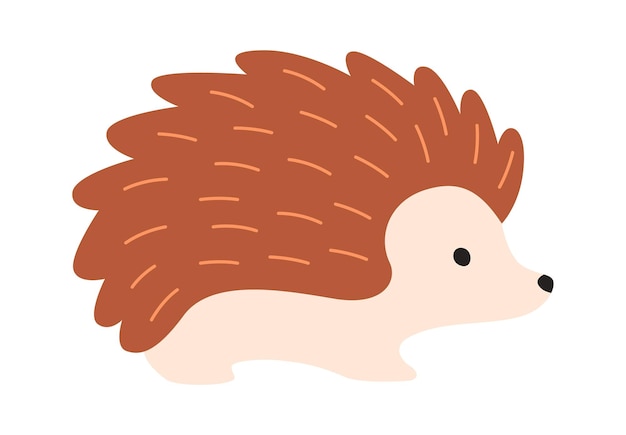 Vector hedgehog animal illustration