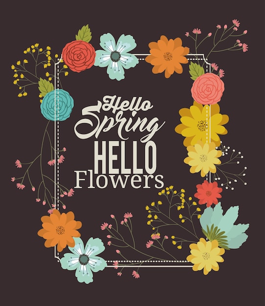 hello spring design