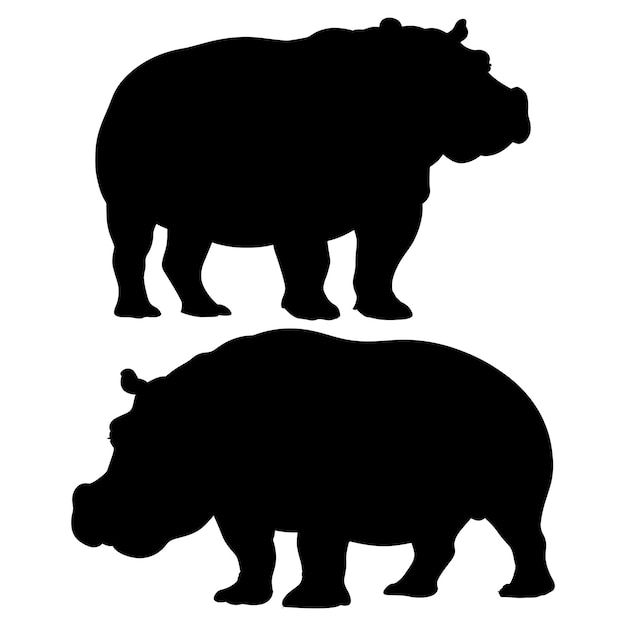 Hippopotamus Silhouettes on White