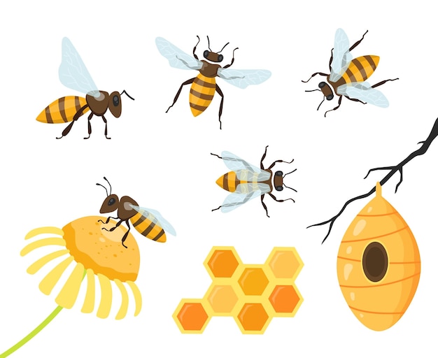 Honey bee isolated cartoon set Honey and hand drawn insect colorful set Honeycomb and bees vector icons