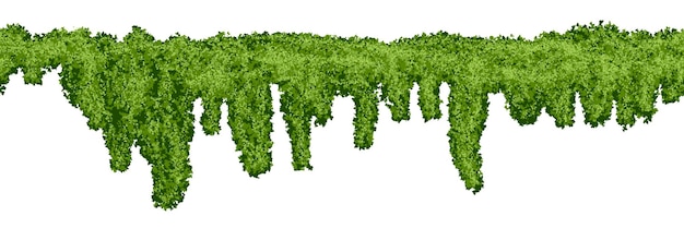 Horizontal endless swamp moss texture on white background