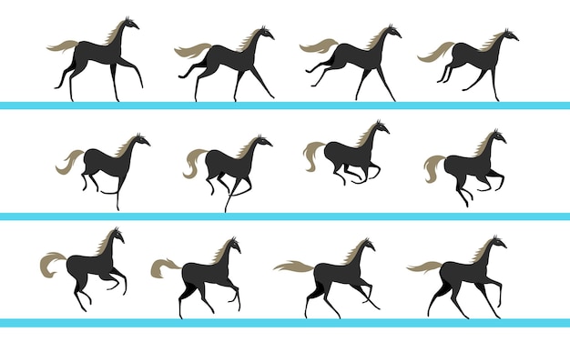 Vector horse running animation twelve key positions of horse running