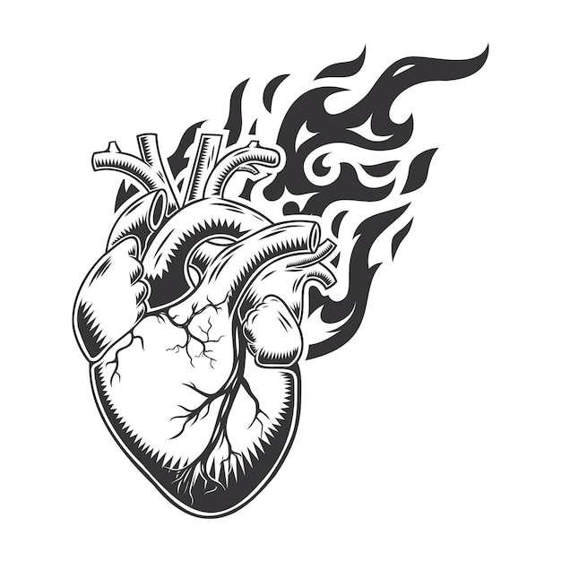 Hot heart fire logo silhouette lion heart graphic design logos or icons vector illustration