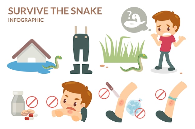 How to survive the snake