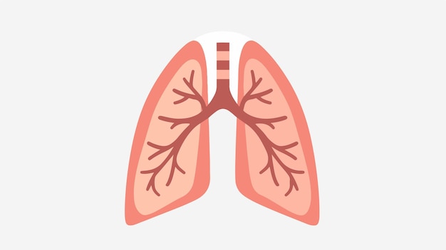 Vector human lungs icon vector illustration