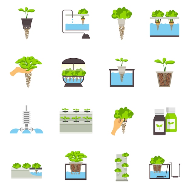 Hydroponic Flat Icons