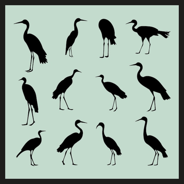 Ibis black silhouette set vector