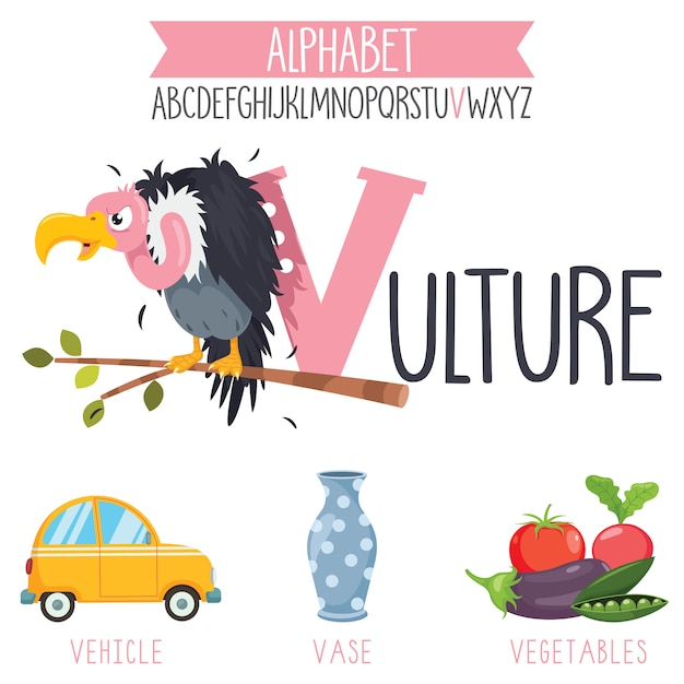 Illustrated Alphabet Letter And Cartoon Objects