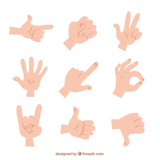 Vector illustrated hand gestures