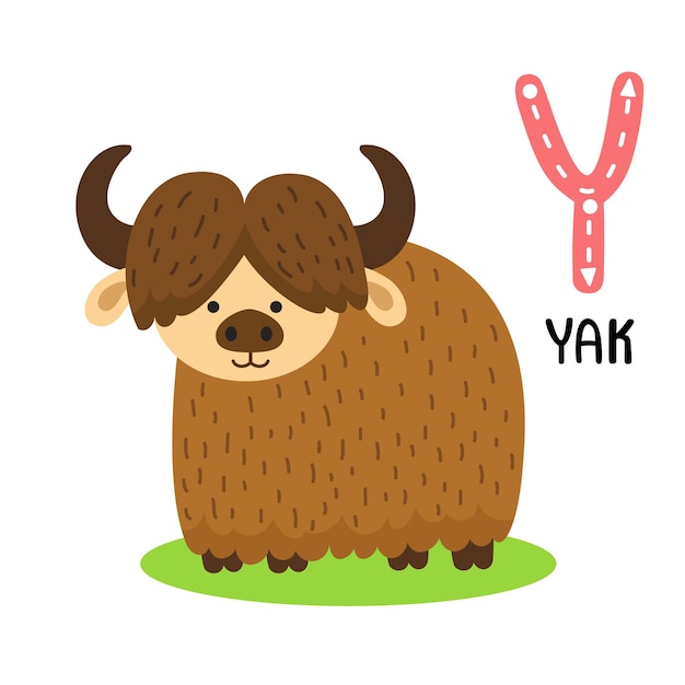 Vector illustration isolated animal alphabet letter yyak