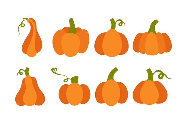 Illustration of various pumpkins set Isolated on white background Elements for autumn needs