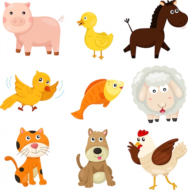 Illustrator of farm animal