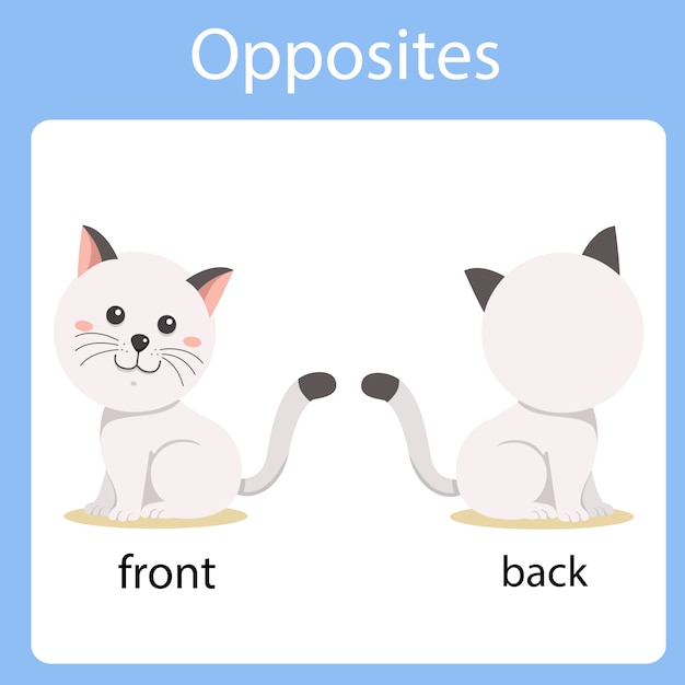 Vector illustrator of opposites front and back