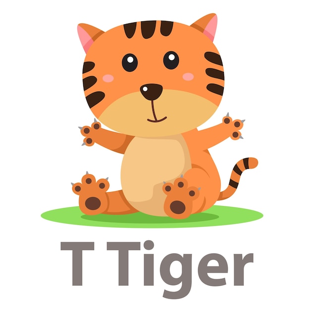 Illustrator of t tiger