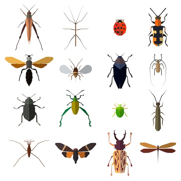 Insect icons set isolated on white Vector illustration