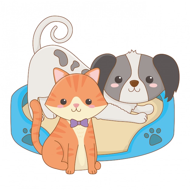 Vector isolated cat and dog cartoon design